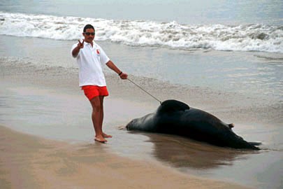 Strand Mazatlan